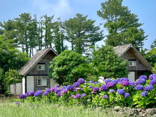 Zahrada ubytování Log Park Dochidol Ranch