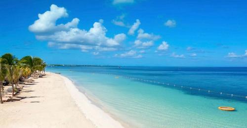 a beach with palm trees and the ocean on a sunny day at Whitehall Villa in Negril in Negril