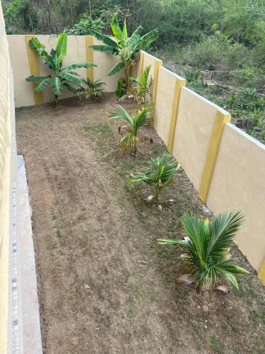 a garden with palm trees next to a wall at Whitehall Villa in Negril in Negril