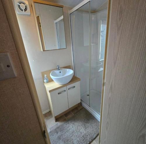 フランボローにあるZapata Springs 34の洗面台とシャワー付きのバスルーム