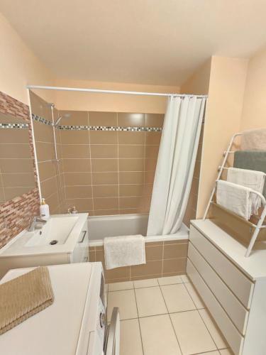 une petite salle de bain avec un lavabo et une douche dans l'établissement Proche Paris et Disneyland, à Champigny-sur-Marne