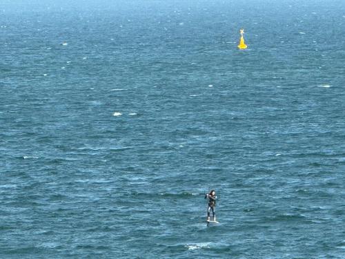 a person on a paddle board in the water at Water Front at Geelong Holiday K Villa in North Shore