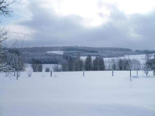 a field covered in snow with trees and water at Tiny house in the Antwerp Kempen in Beulk