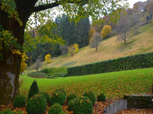 a green field with bushes and trees on a hill at Magnificent Manor in Vresse-Sur-Semois with Sauna in Vresse-sur-Semois