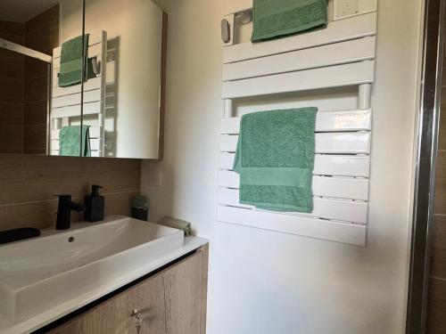 Koupelna v ubytování Superbe Type 2 rénové 2025, climatisé, parking à Aix-les-Bains - FR-1-555-116