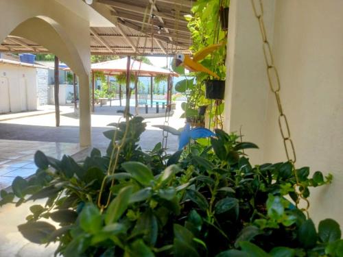 Espaço Itacoatiaraにある庭