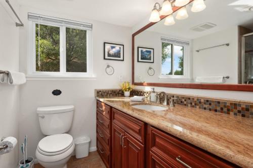 a bathroom with a sink and a toilet and a mirror at Rivertop Hideaway with HUGE views-Hot Tub-EV-more! in Ahwahnee