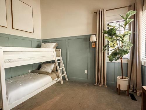 a bedroom with a bunk bed and a potted plant at Midtown Oasis in Fort Collins