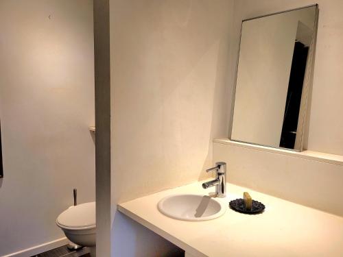 a bathroom with a sink and a mirror and a toilet at Cosy flat, central location in Brussels