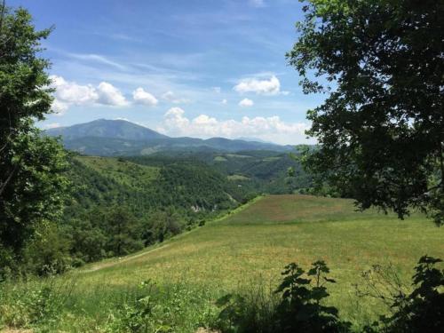 a view of a green field with mountains in the background at Farmhouse with Pool & Spa in Apecchio