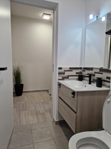 a bathroom with a sink and a toilet at Sunny Family Vila Constanta in Constanţa
