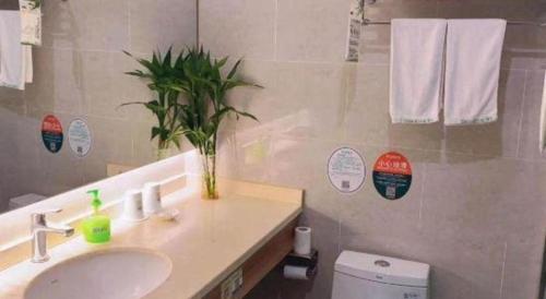 a bathroom with a sink and a potted plant at GreenTree Inn Xuancheng Jingxian Wannan First Street Express Hotel in Xuanzhou