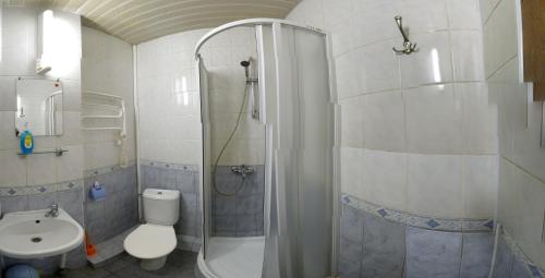 a bathroom with a shower and a toilet and a sink at nakvinės namai Mano kelias in Vilnius