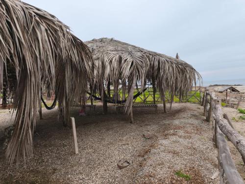 a hut with a grass roof on the beach at Cabañas en Playas Villamil, Bungalows! in Playas