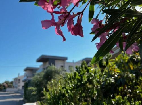 Φωτογραφία από το άλμπουμ του LuxArt City Spa Gallery Residence Krk σε Krk