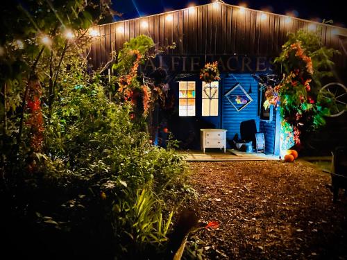 a blue shed with a sign that reads home depot at Spacious Cabin with Private Hot Tub, and Private Pool, in 5 Acres - intimate Special stay For 2 Adults - plus 1 child under 2 and up to 2 dogs stay for free in Downham