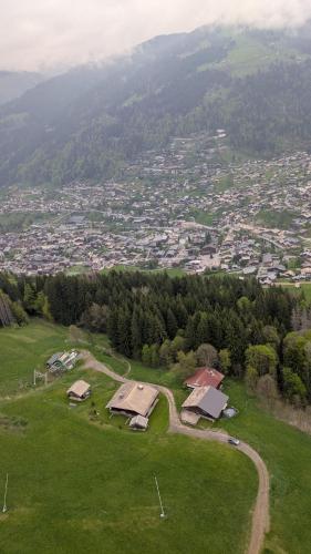 une vue aérienne d'un champ vert avec des maisons et une ville dans l'établissement Chalet d alpage en montagne L Atray Des Neiges 3 étoiles multipass gratuit, à Morzine