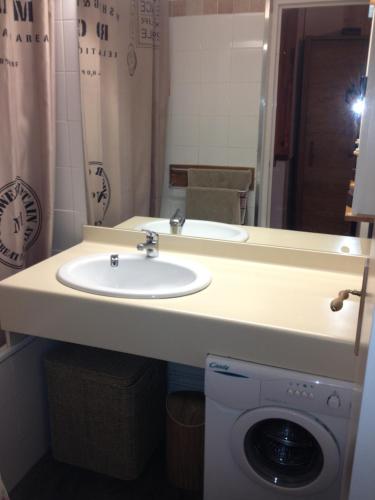 une salle de bain avec un lavabo et une machine à laver dans l'établissement Cozy Duplex Terrasse plein sud, à Puy-Saint-Vincent