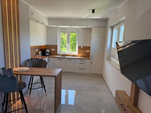Dapur atau dapur kecil di Apartamenty nad Baryczą