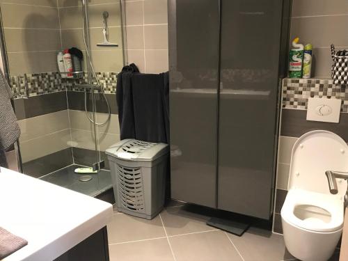une salle de bain avec une douche, des toilettes et un lavabo dans l'établissement 3 pièces près de la Promenade, à Nice