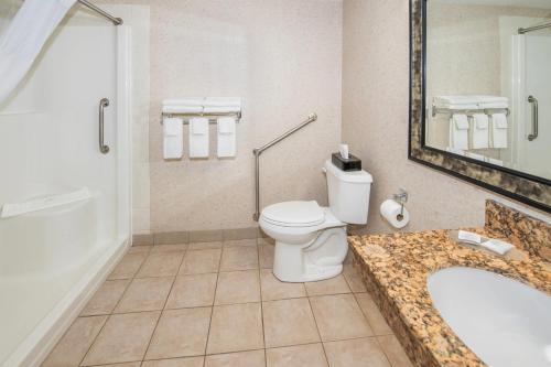 a bathroom with a toilet and a sink at Quality Inn & Suites in Lethbridge