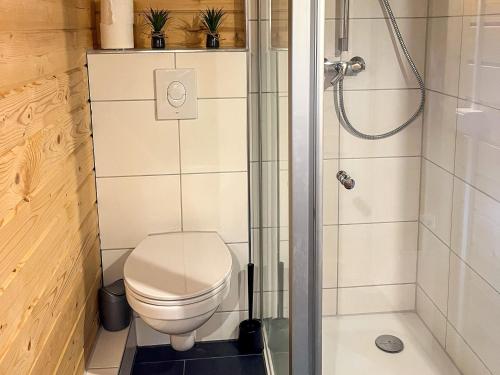 a bathroom with a toilet and a shower at Tiny Häuschen Land-Idyll in Neuhof