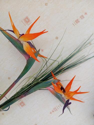 two birds perched on top of a plant at Le relais du Perche in Les Croix Chemins