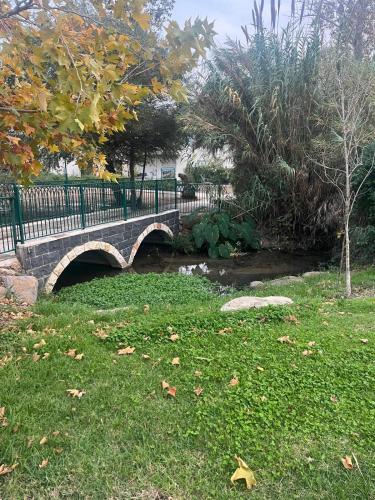 Jardín al aire libre en הבית