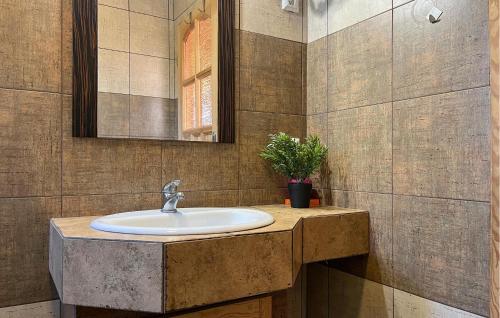a bathroom with a sink and a mirror at Nice Home In Podamirowo With Lake View in Podamirowo
