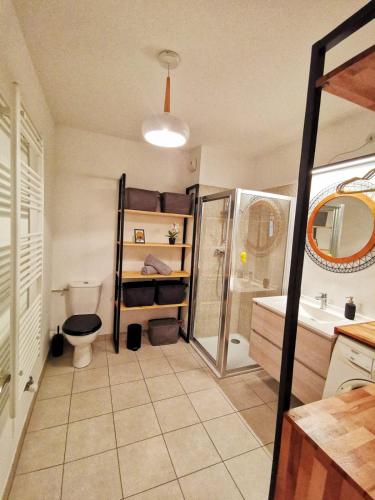 une salle de bain avec toilettes, douche et lavabo dans l'établissement Les 4 Reflets de la Marne, à Pomponne