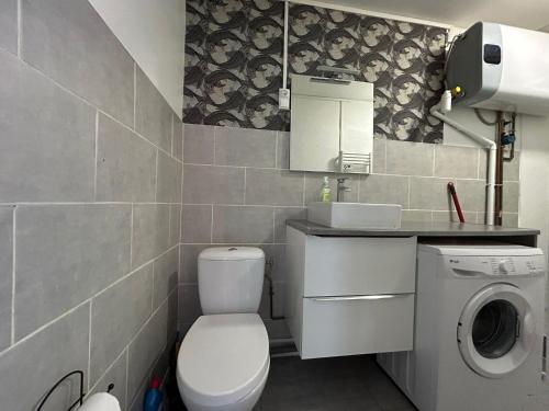 La salle de bains est pourvue de toilettes et d'un lave-linge. dans l'établissement Lemon Roof top, à Troyes