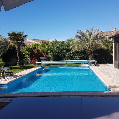 - une piscine dans une cour avec une piscine dans l'établissement Les Pieds dans Thau, à Marseillan