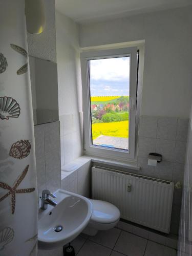 a bathroom with a white sink and a window at Möbliert Wohnen in Weickelsdorf in Bahnhof Weickelsdorf