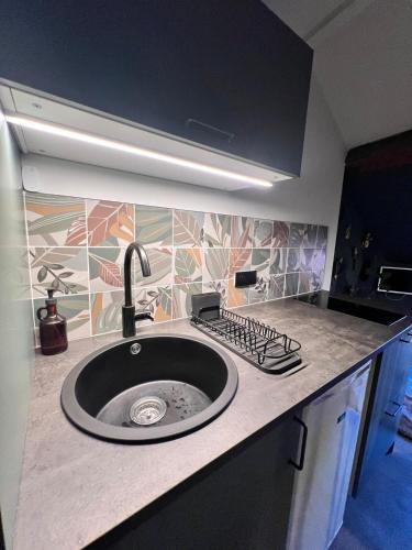 un comptoir de cuisine avec un évier dans une cuisine dans l'établissement Studio AUREA, à Annecy