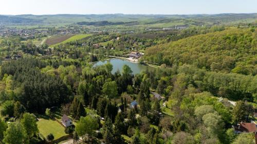 una vista aérea de un lago en un bosque en Mazsola, en Bélapátfalva