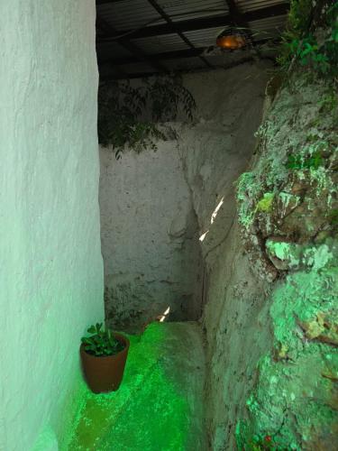 a tunnel with a potted plant on the side of a wall at Kailash villa and restro in Pokhara