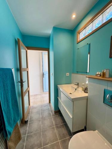 une salle de bain bleue avec des toilettes et un lavabo dans l'établissement Quiet street in old Mèze - terrace, 250m to beach, à Mèze