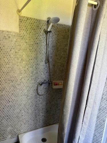 La salle de bains est pourvue d'une douche avec rideau de douche. dans l'établissement La cabane au fond du jardin, à Villennes-sur-Seine
