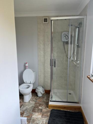 a bathroom with a toilet and a glass shower at Cheerful 3-bedroom cabin with hot tub in Kings Lynn