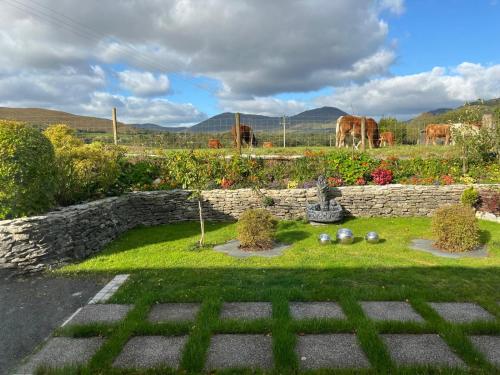 a garden with a stone wall and cows in the background at Laburnum B&B in Kenmare