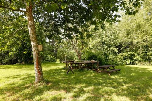 a picnic table in the grass under a tree at Maison au milieu d'un parc arboré in Le Faouët