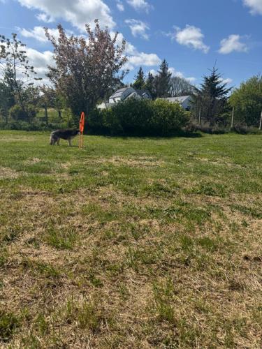 Afbeelding uit fotogalerij van Little lake lodge faceboo in Armoy