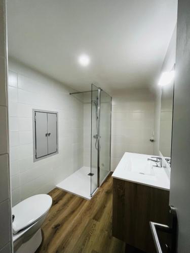une salle de bain avec une douche, un lavabo et des toilettes dans l'établissement Appartement dans le quartier recherché du mouré, à Collioure