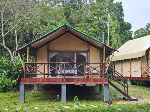 a small house with a porch in the grass at Longoza Ecolodge in Andasibe