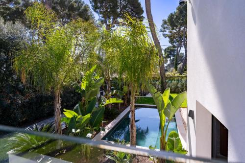 une piscine dans un jardin planté de palmiers dans l'établissement Villa Koya, à Antibes