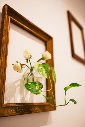 La casa dei Nonni photo 45