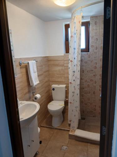 a bathroom with a toilet and a sink at Casa Loredana in Cîrţişoara