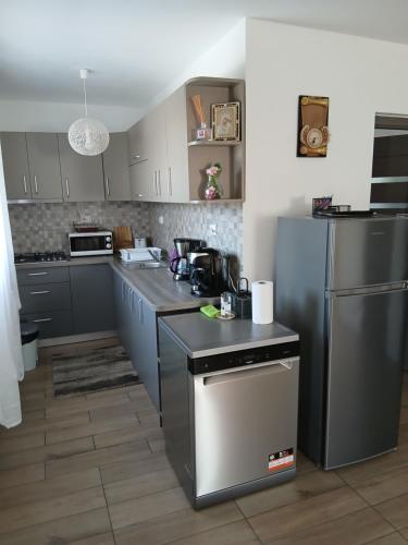 a kitchen with stainless steel appliances and gray cabinets at Casa Loredana in Cîrţişoara