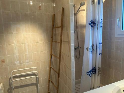 une salle de bain avec une douche avec un rideau de douche dans l'établissement Appartement pereire plage a pied, à Arcachon