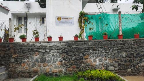 Banana Tree Retreatにある庭